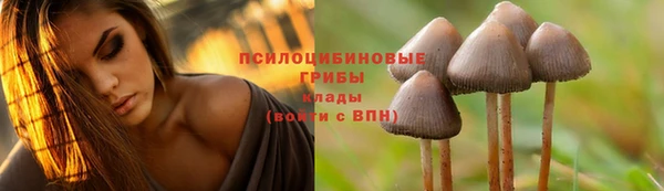 ГАЛЛЮЦИНОГЕННЫЕ ГРИБЫ Балахна