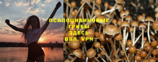 стафф Баксан