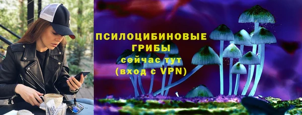 ГАЛЛЮЦИНОГЕННЫЕ ГРИБЫ Балахна