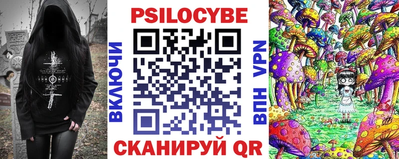 Купить закладки  Ставрополь  Псилоцибиновые грибы Psilocybe 