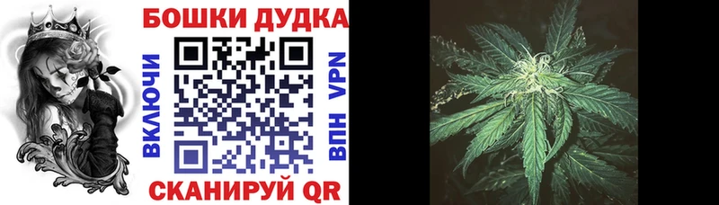 Бошки Шишки SATIVA & INDICA  Купить  Ставрополь 
